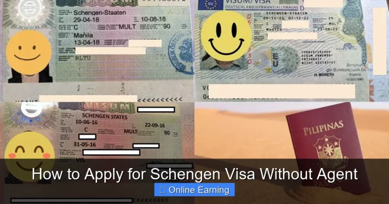 How to Apply for Schengen Visa Without Agent
