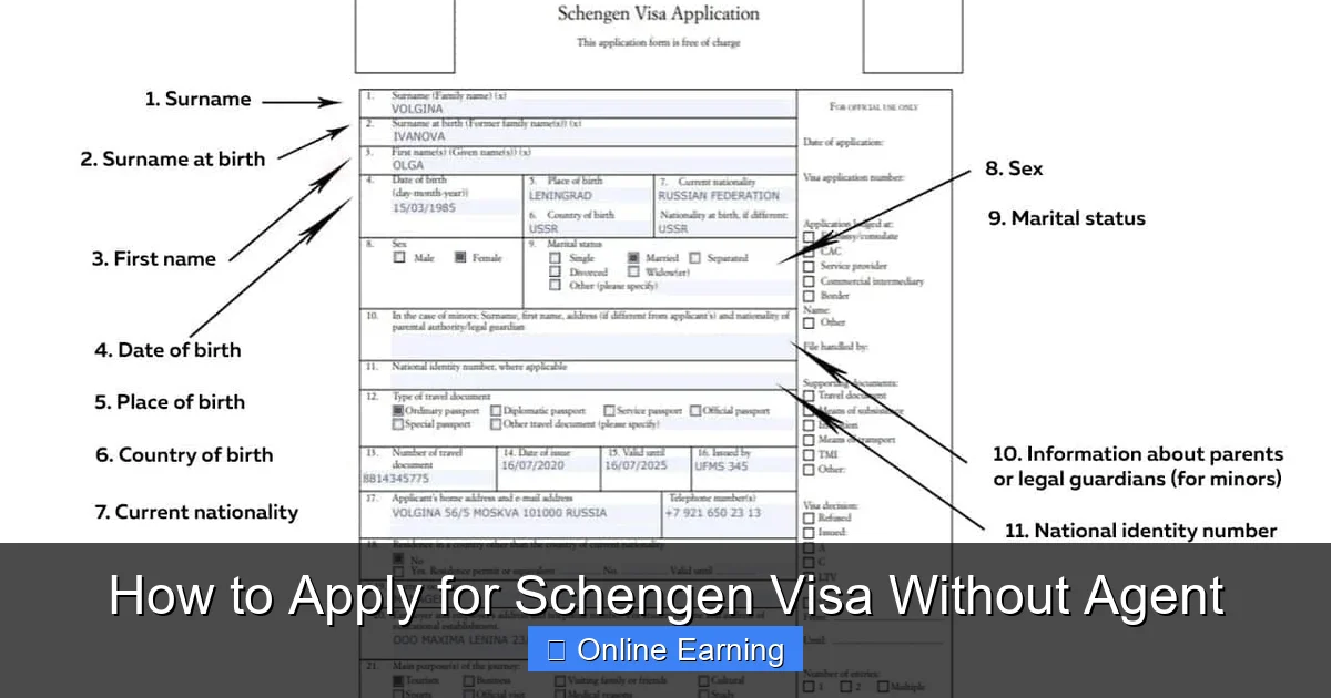 How to Apply for Schengen Visa Without Agent