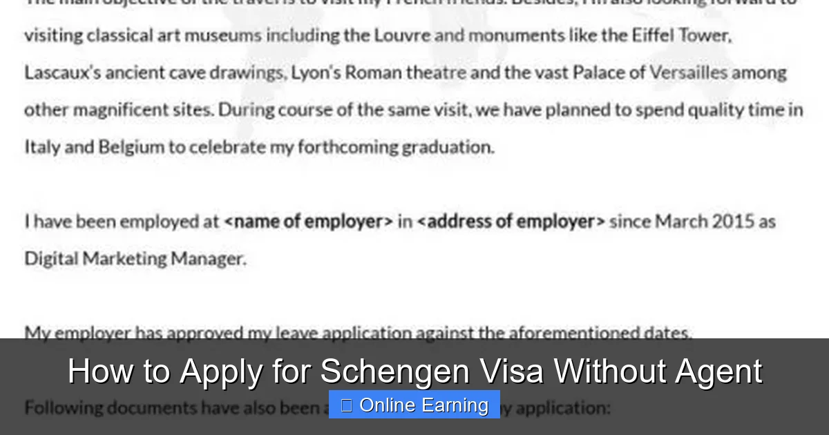 How to Apply for Schengen Visa Without Agent